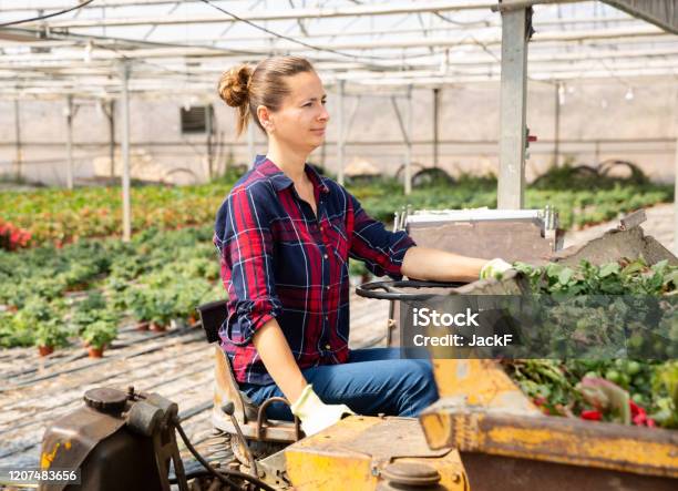 Agricultora Que Trabaja En Tractor Foto de stock y más banco de imágenes de Actividades recreativas - Actividades recreativas, Agricultor, Agricultura