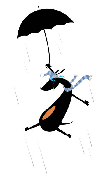 istock Windy day and a dog with umbrella illustration 1207484923