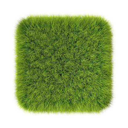 Grass background texture. fresh grass. 3d rendering - 3D Illustration