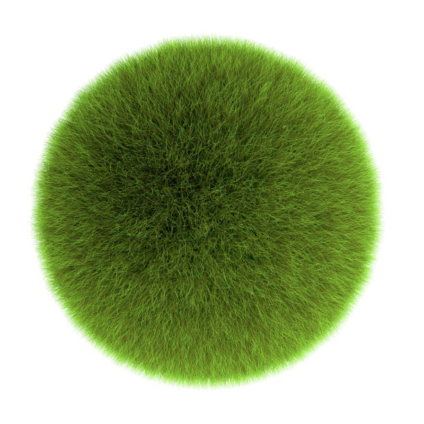 circle of grason white background, view from above