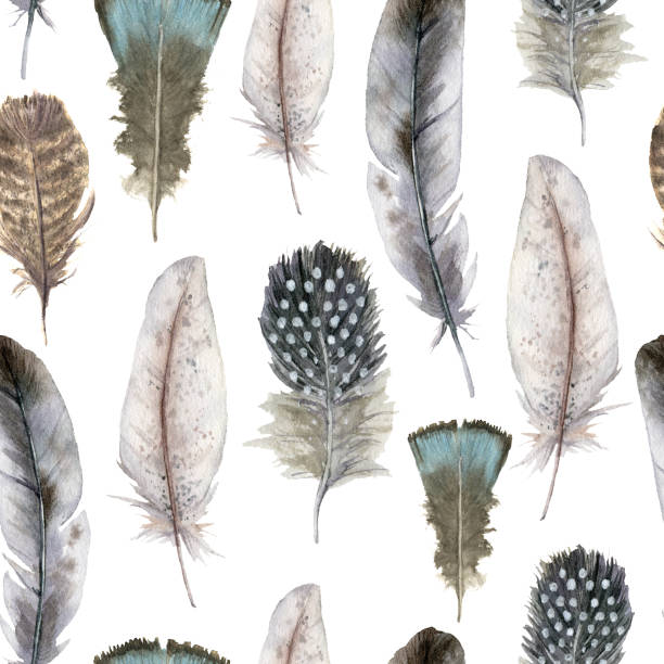 Watercolor bird feather seamless pattern for easter. Hand painted blue, striped and polka dot feathers isolated on white background. Wildlife illustration for design, print, fabric or background. Watercolor bird feather seamless pattern for easter. Hand painted blue, striped and polka dot feathers isolated on white background. Wildlife illustration for design, print, fabric or background drawing of pink and black polka dot wallpaper stock illustrations