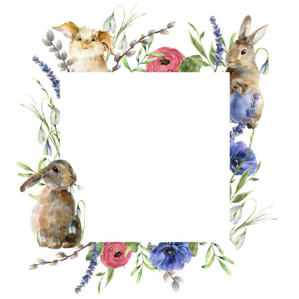 토끼와 꽃 수채화 부활절 카드입니다. 흰색 배경에 고립 된 라벤더, 장미와 버드 나무와 손으로 그린 토끼. 디자인, 인쇄, 직물 또는 배경에 대한 휴일 그림. - rabbit easter easter bunny animal stock illustrations