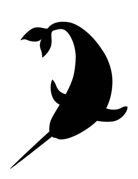schwarze silhouette narwal (monodon monoceros) zahnwal mit stoßzähnen cartoon meer charakter design flache vektor-illustration isoliert auf weißem hintergrund - narwal stock-grafiken, -clipart, -cartoons und -symbole