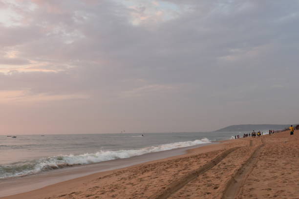 istock a sand trail of a car in a beach with waves 1207493806