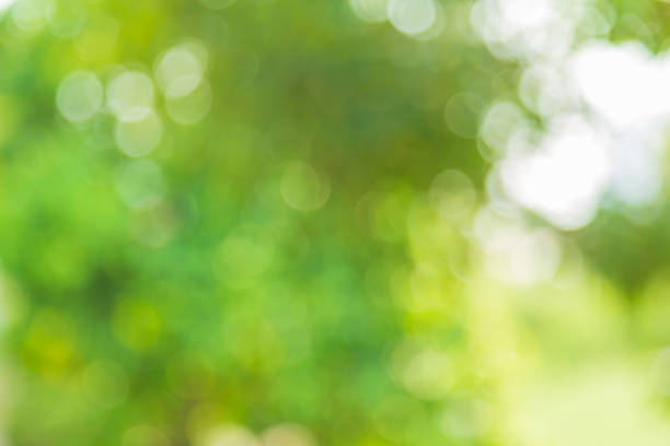 istock Abstract blurred  green bokeh nature for background. 1207495381
