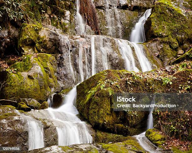 Luogo Di Mille Gocce In Smokies - Fotografie stock e altre immagini di Cadere - Cadere, Ambientazione esterna, Ambientazione tranquilla