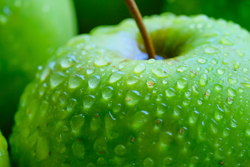 Close up of fresh green apple with water drops