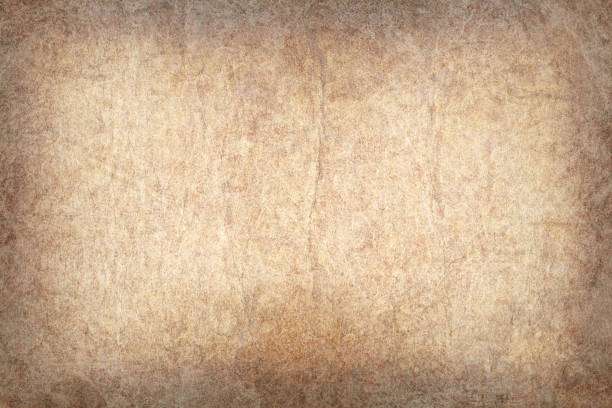 high resolution antique animal skin parchment coarse wizened vignette grunge texture - medieval pattern textured textured effect imagens e fotografias de stock