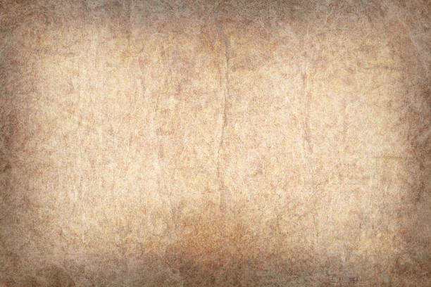 высокое разрешение античная кожа животных пергамент грубый wizened виньетка гранж текстура - vellum close up printed media condition стоковые фото и изображения
