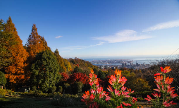 istock Top of Kobe 1207502484