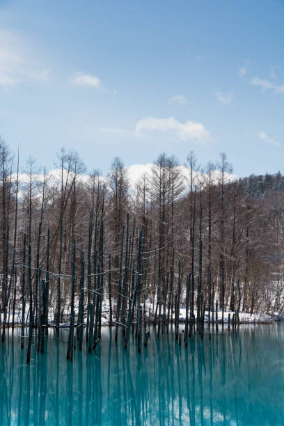 istock Winter lake where the ice has begun to melt 1207504192