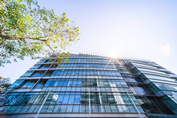 istock Portion of trees against office buildings 1207505202