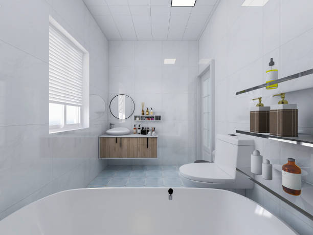 istock 3D rendering, modern residential clean bathroom design, with washbasins, mirrors, toilets and bathtubs 1207506780