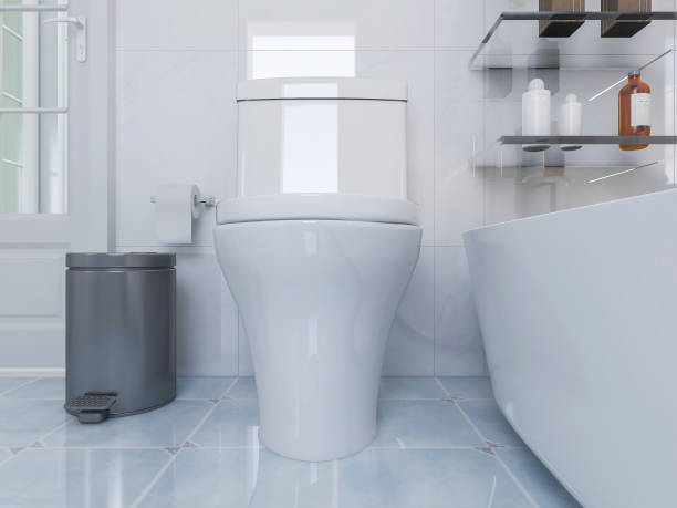 istock 3D rendering, modern residential clean bathroom design, with washbasins, mirrors, toilets and bathtubs 1207506782