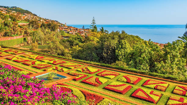 istock Botanical garden in Funchal, Madeira 1207512061