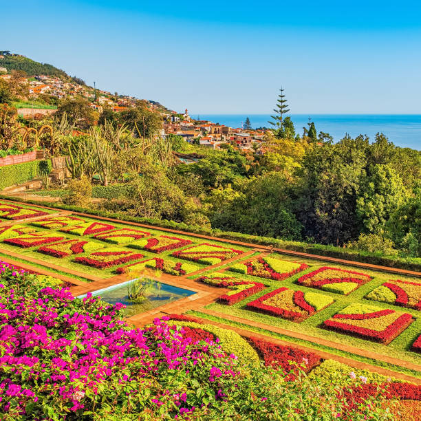 istock Botanical garden in Funchal, Madeira 1207512151
