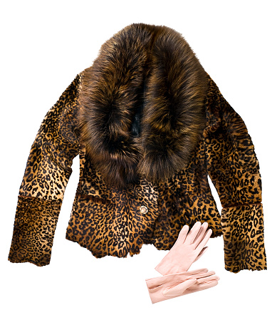 Leopard printed coat with leather gloves isolated on white background (with clipping path)