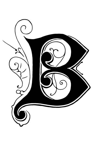 Embellished Letter B Illustration of a Embellished Letter B fancy letter b drawing stock illustrations