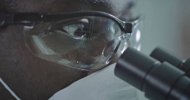 Black Using Microscope 110+ Black Doctor Looking Through Microscope Stock Photos, Pictures ...