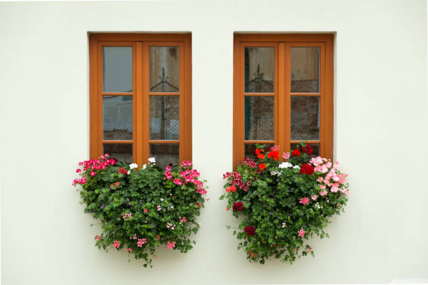 istock Beautiful windows with flowers in the old town 1207517849