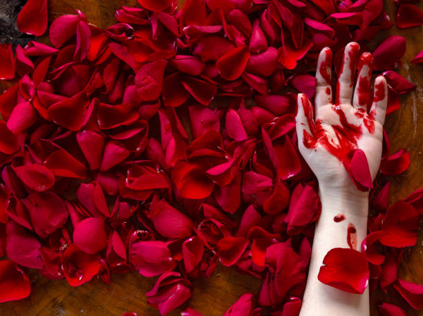 Human hand covered in blood lies in red rose petals, murder mystery horror or romantic concept stock photo