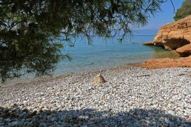 istock Pine tree leaning towards the beautiful Ververonda beach 1207522111