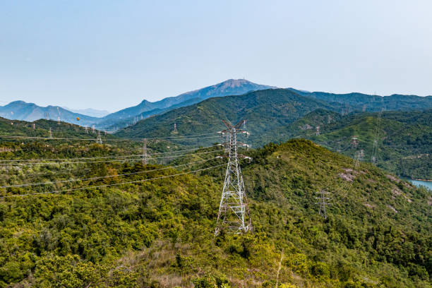 istock High voltage electric pole in the forest 1207522328