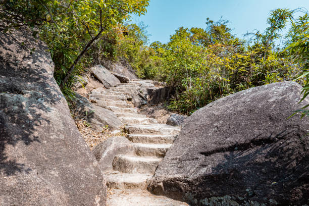 istock Steps and Trail in the nature 1207522418