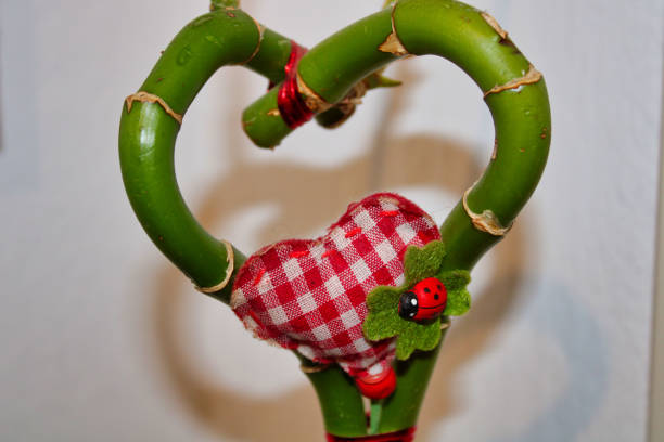 istock red pepper in shape of heart 1207525500
