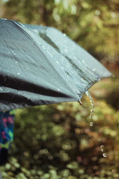 istock Close up a black umbrella, with drops from a rain. Rainy day. 1207526092