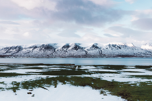 Dramatic view of winter vibes in North Iceland: beautiful panoramic mountains covered by snow, green meadow and seashore during sunny day