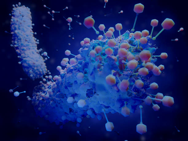 istock Bacteriophages infecting and killing bacteria. Phage therapy can be targeted against multi-drug resistant bacteria. 1207527870