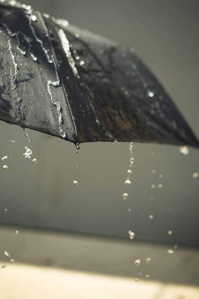 istock Close up a black umbrella, with drops from a rain. Rainy day. 1207527895