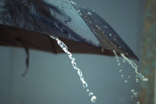 istock Close up a black umbrella, with drops from a rain. Rainy day. 1207527930