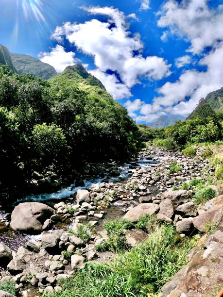 istock green lush valley and stream 1207529768