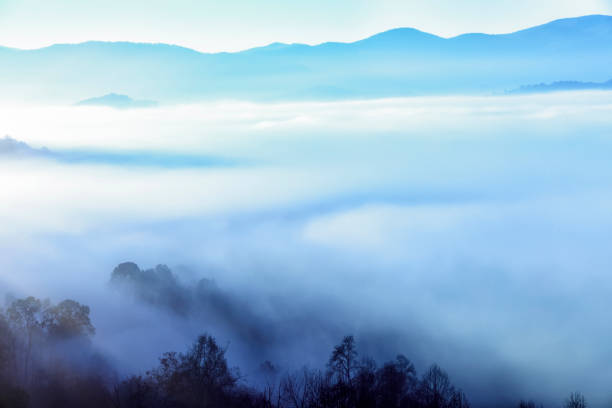 nebbia nella valle della carolina del nord - blue ridge mountains autumn great smoky mountains tree foto e immagini stock