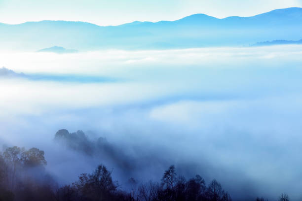 туман в долине северной каролины - blue ridge mountains autumn appalachian mountains great smoky mountains стоковые фото и изображения