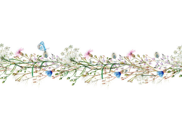 3,300+ Wildflower Garland Stock Photos, Pictures & Royalty-Free Images -  iStock