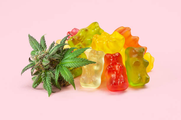 Gummy Bear Medical Marijuana Edibles (CBD or THC Candies) with Cannabis Bud Isolated on Pink Background A pile of gummy bears made with cannabis extract next to a fresh bud or hemp flower. These medical marijuana edibles contain CBD and THC and are isolated on a pink background. gummy candy photos stock pictures, royalty-free photos & images