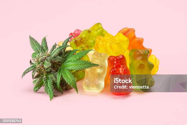 Gummy Bear Medical Marijuana Edibles With Cannabis Bud Isolated On Pink Background Stock Photo - Download Image Now