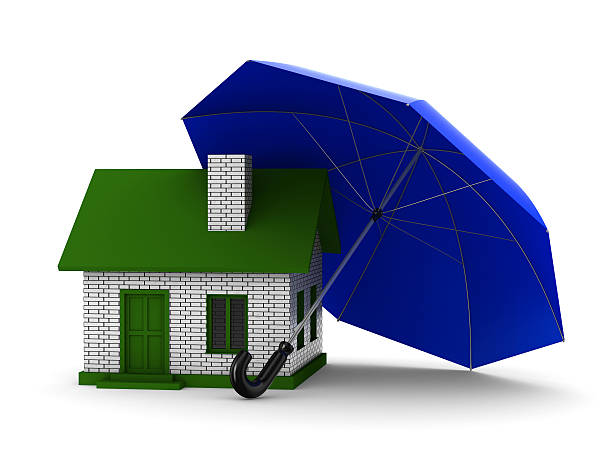 istock Insurance of habitation. Isolated 3D image on white background 120753672