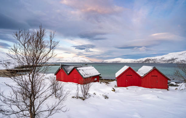istock icy winterlandscape in northern Norway 1207538870