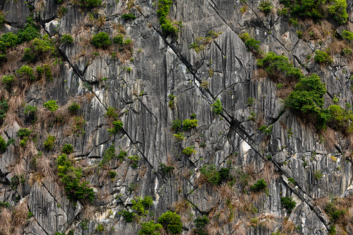 Rocks and Stones of the Halong Bay in Vietnam