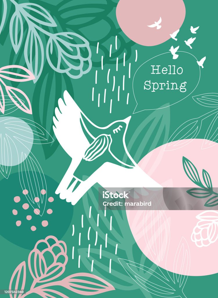 Hello Spring Message White Bird Woman Hello Spring Message White Bird Woman. An original artwork vector illustration with typography. This inspirational design can be a postcard, invitation, web banner, shop window, invitation, poster or flyer. Springtime stock vector
