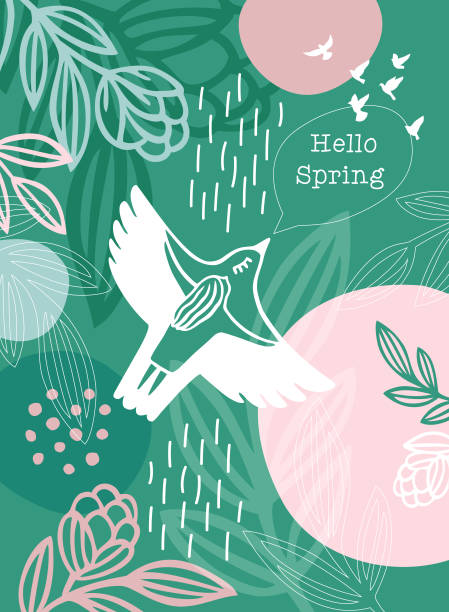 Hello Spring Message White Bird Woman Hello Spring Message White Bird Woman. An original artwork vector illustration with typography. This inspirational design can be a postcard, invitation, web banner, shop window, invitation, poster or flyer. bird human stock illustrations