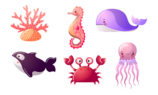 Collection set of the colorful sea and ocean creatures. Whale, whale killer, crab, jellyfish, seahorse, coral. Isolated icons set illustration on a white background in cartoon style.