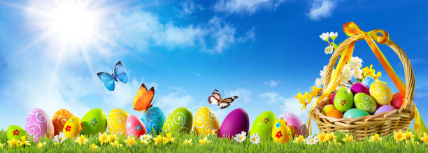 istock Basket of easter eggs on green grass at sunny day 1207545438