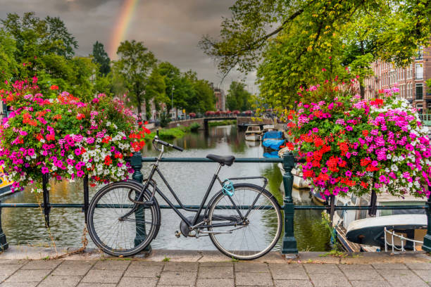 istock Bicycle on a Bridge over a Canal in Amsterdam Netherlands with Rainbow 1207545617