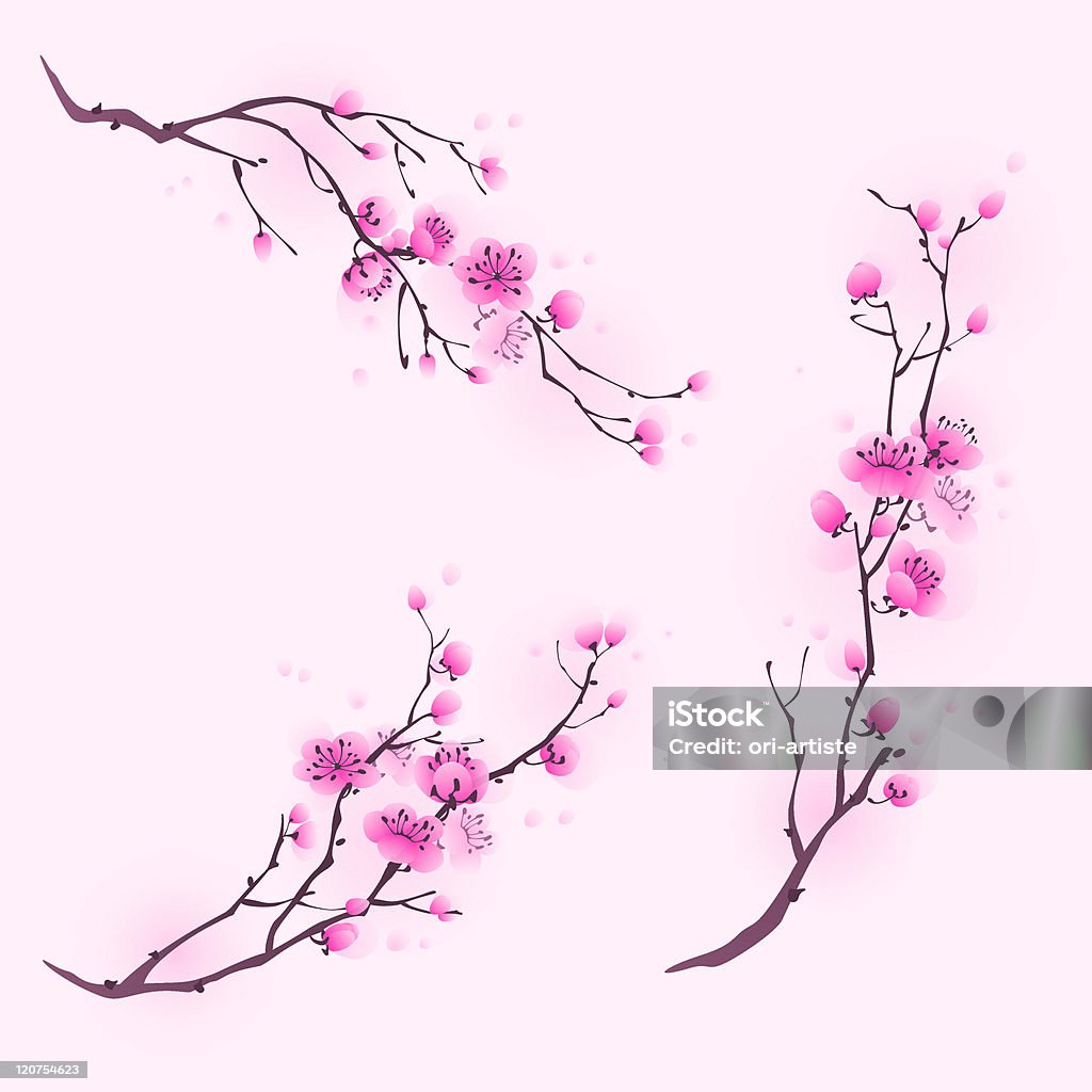 Oriental style painting, cherry blossom in spring Cherry blossom flowers in three different compositions. Beauty In Nature stock vector