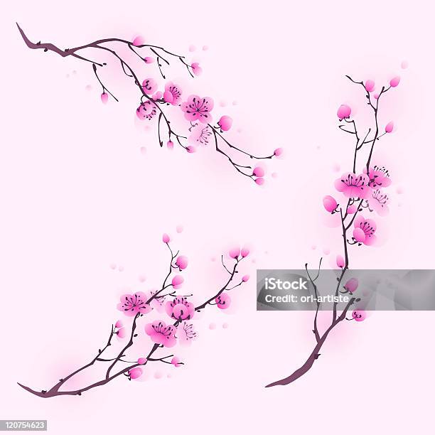 Oriental Style Painting Cherry Blossom In Spring Stock Illustration - Download Image Now - Beauty In Nature, Branch - Plant Part, Cherry Blossom